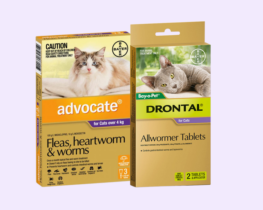 Cat Flea Tick & Worming