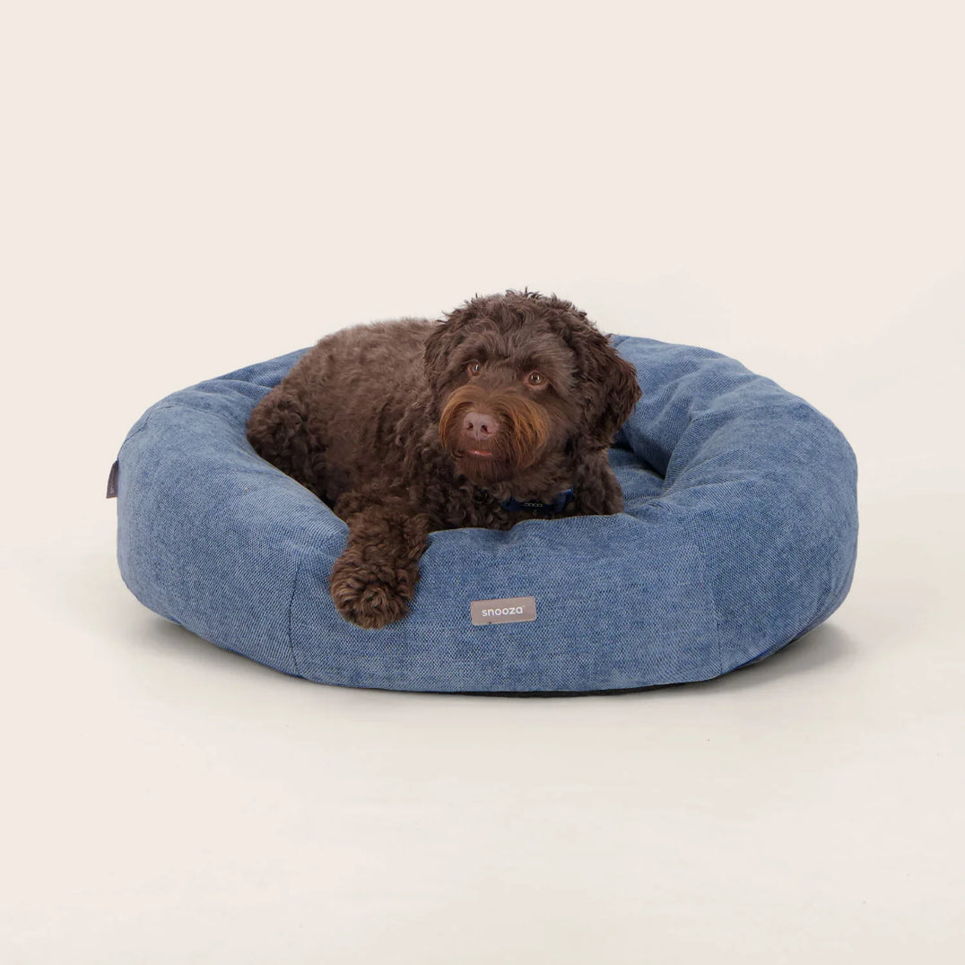Dog Beds
