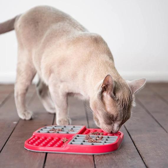Cat Bowls and Feeders