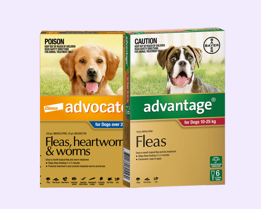 Dog Flea Tick & Worming