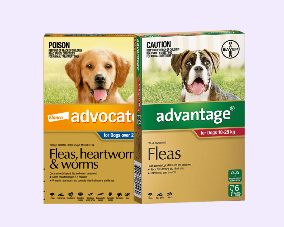 Dog Flea Tick & Worming