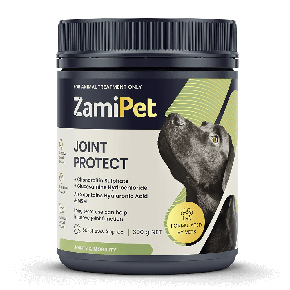 Dog Joint Supplements and Care