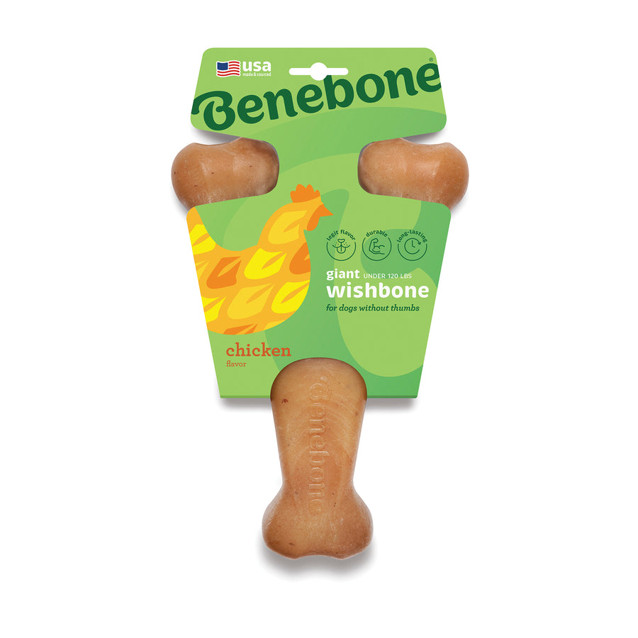Wishbone