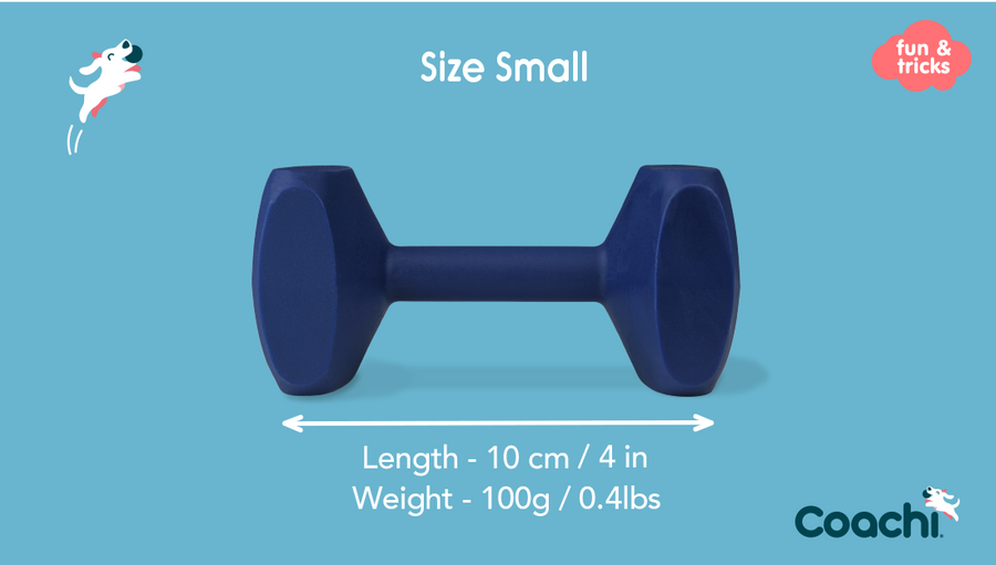 Company of Animals – Coachi – Training Dumbbell - image 5