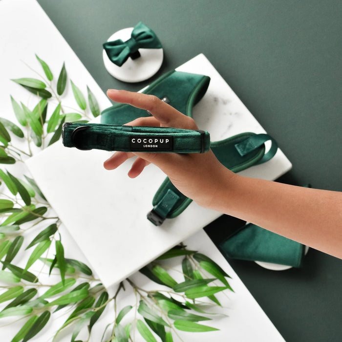 LUXE Dog Collar – Forest Green Velvet