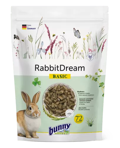 Bunny Nature – RabbitDream – Basic