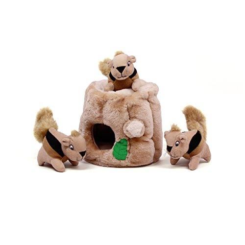 Outward Hound – Hide-A-Squirrel - The Pet Standard