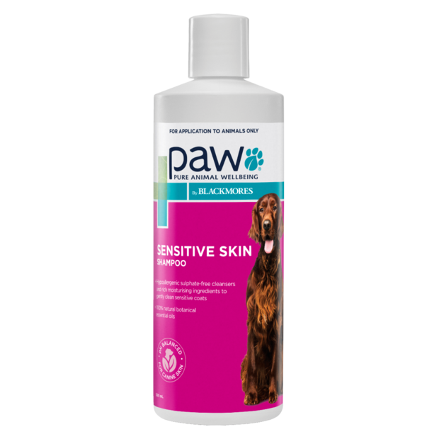 blackmores dog shampoo