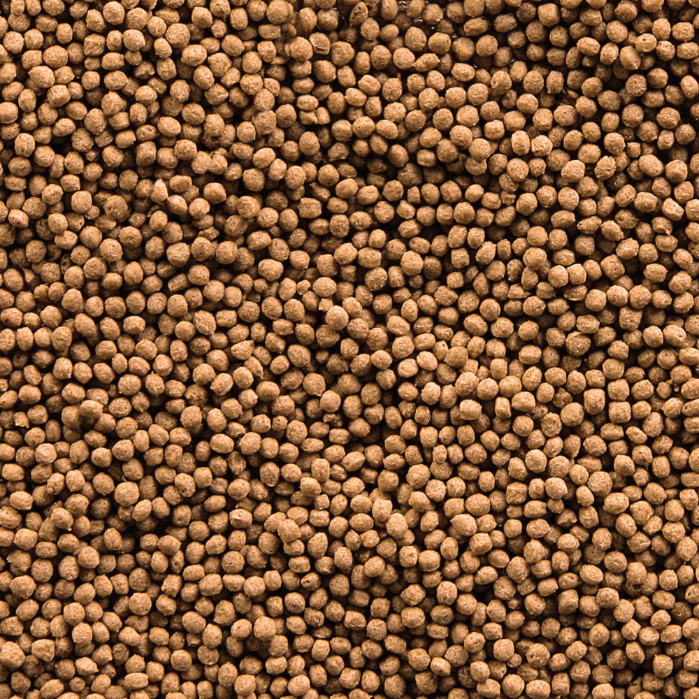 Sera – Goldfish Granules