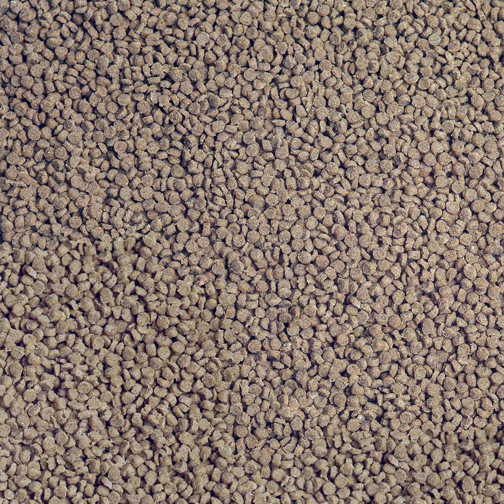 Sera – Cichlid Tanganyika Granules