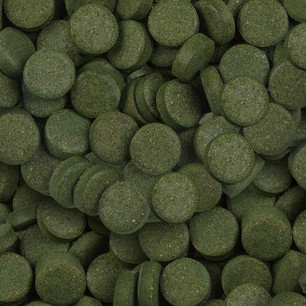 Sera Spirulina Tabs