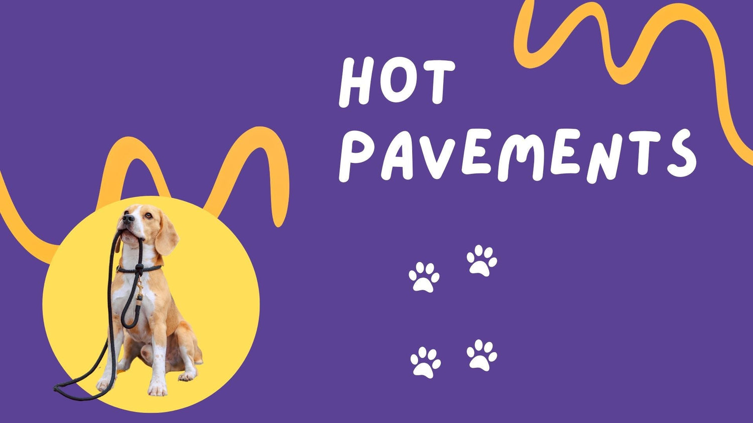 Paws Off the Pavement