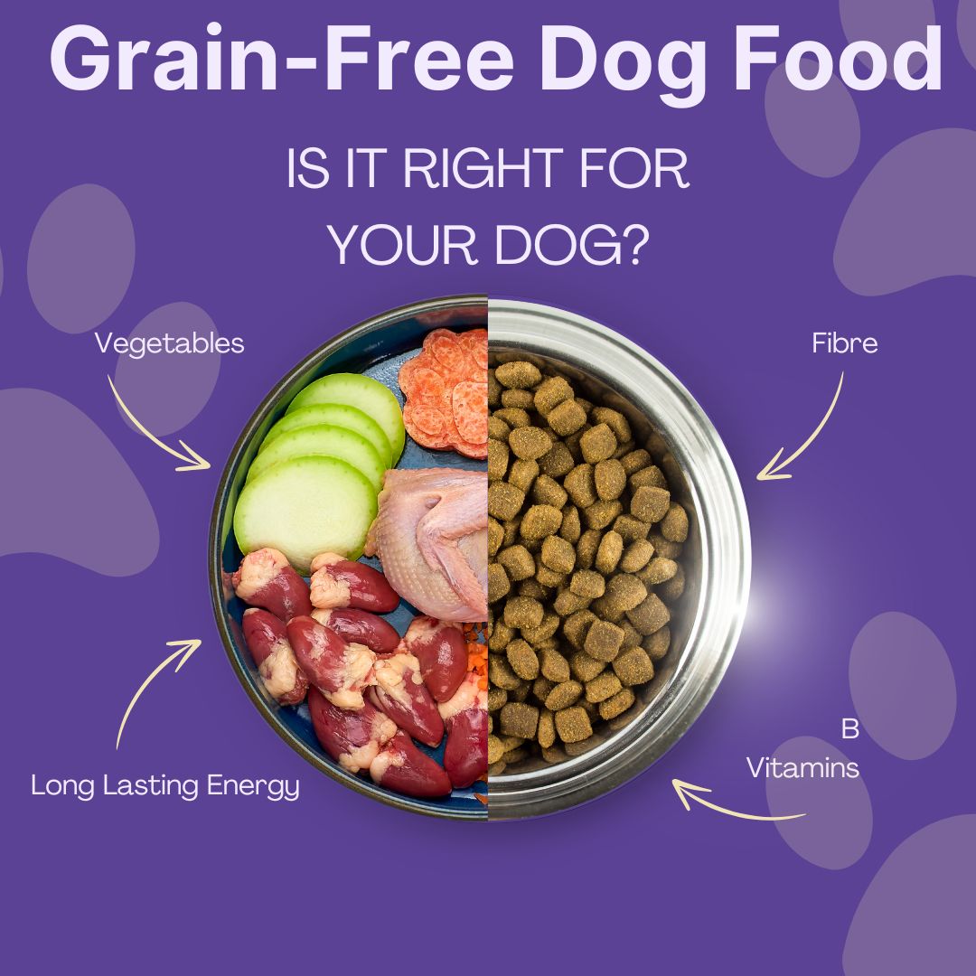 Is Grain-Free Dog Food Good for Dogs?