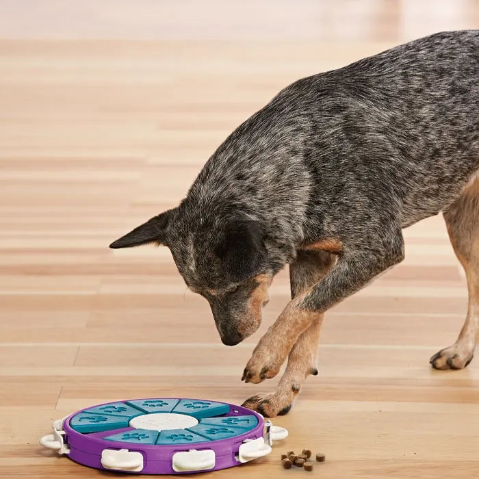 Dog Training Treats