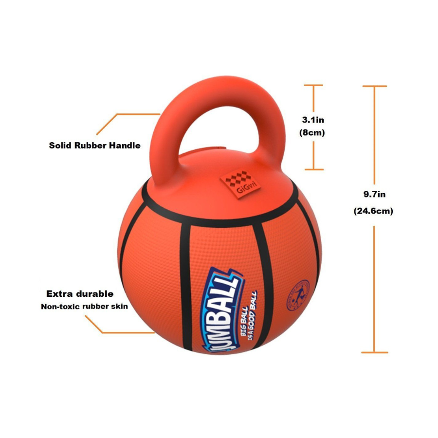 Dog Fetch Toys