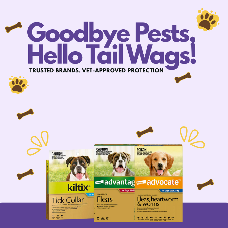 Flea & Tick Prevention