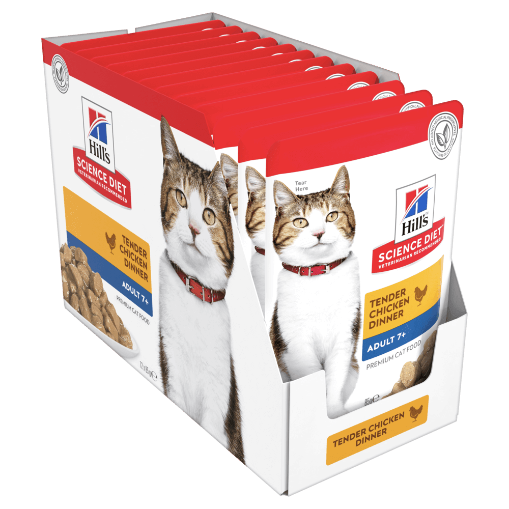 Cat Food