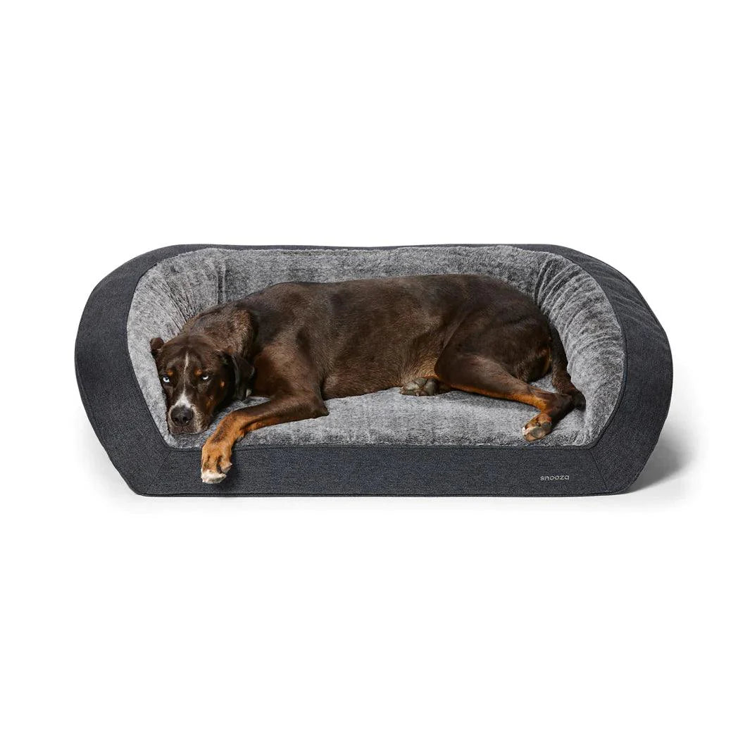 Dog Memory Foam