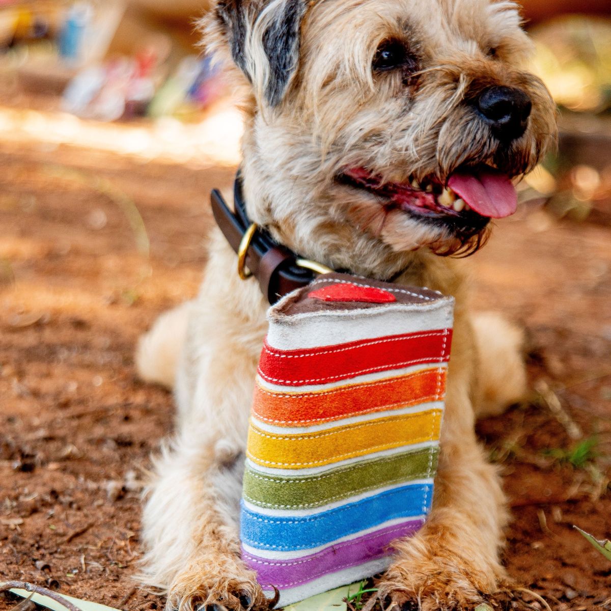 Georgie Paws – Rainbow Cake - image 3
