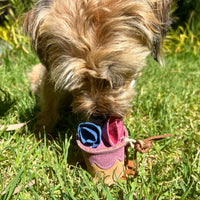 Georgie Paws – Pixi Cake