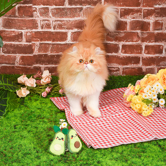 Hugsmart Crazy Catcher Avocado Cat Toy Set – Catnip Plush Toys - image 4