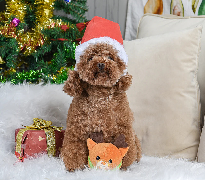 Happy Woofmas – Super Ball Reindeer Dog Toy