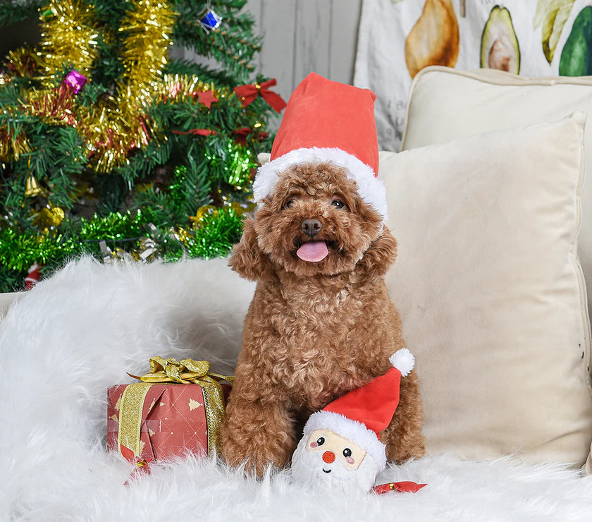 Happy Woofmas – Super Ball Santa Dog Toy