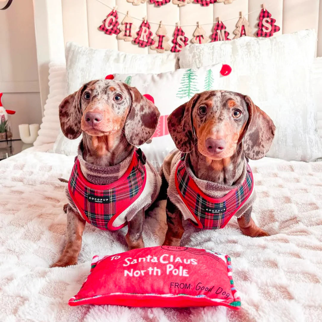 Dogs Adjustable Neck Harness – Tartan