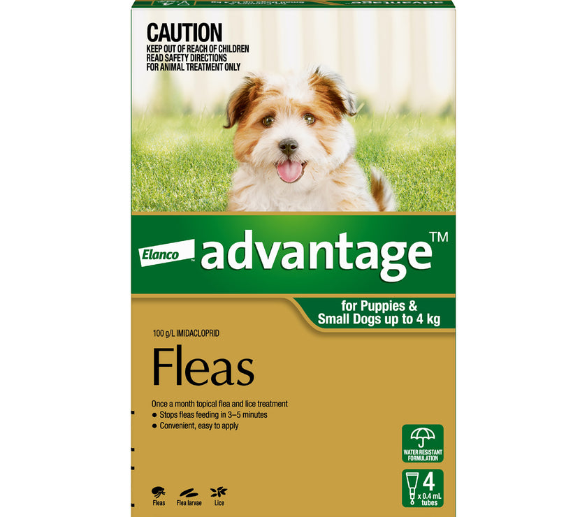 Advantage Flea Treatment for Dogs
