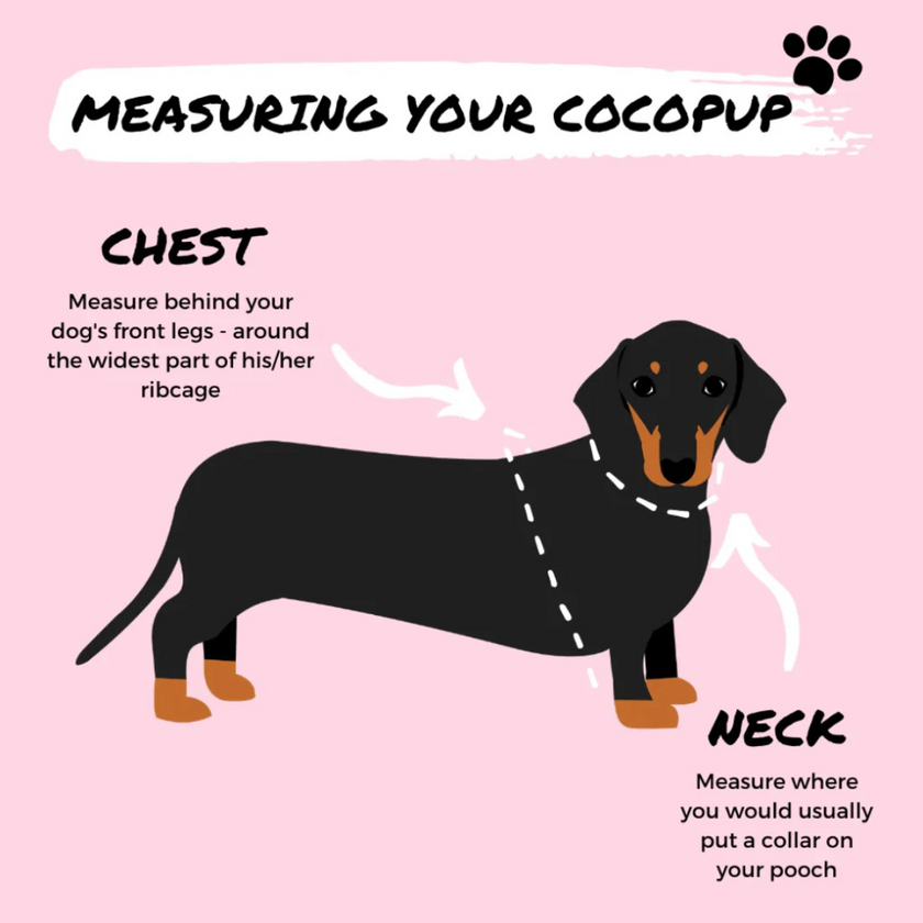 Cocopup Adjustable Neck Harness – Stylish, Comfortable, and Built for Everyday Adventures