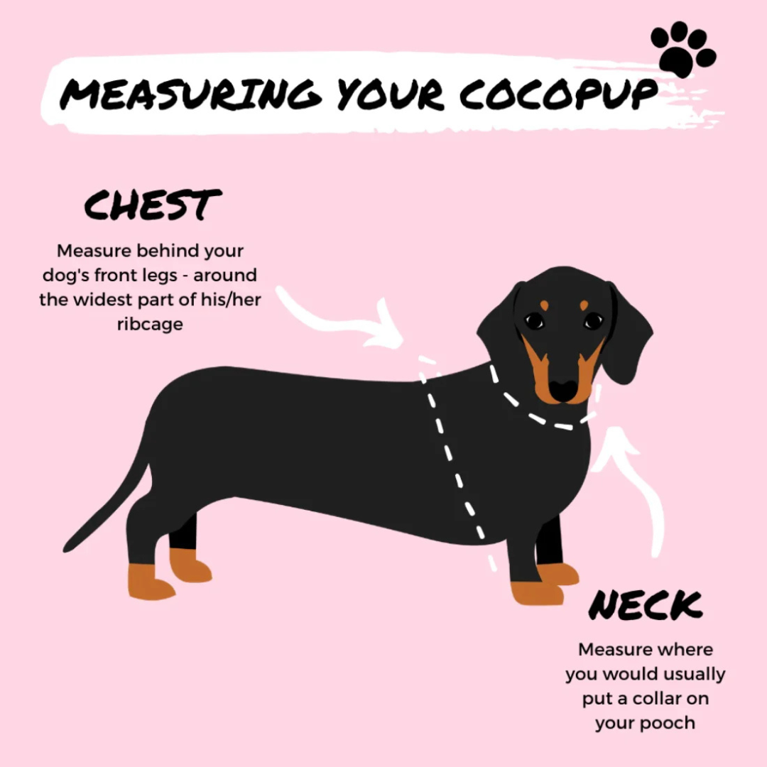 Cocopup Adjustable Neck Harness – Stylish, Comfortable, and Built for Everyday Adventures - image 11