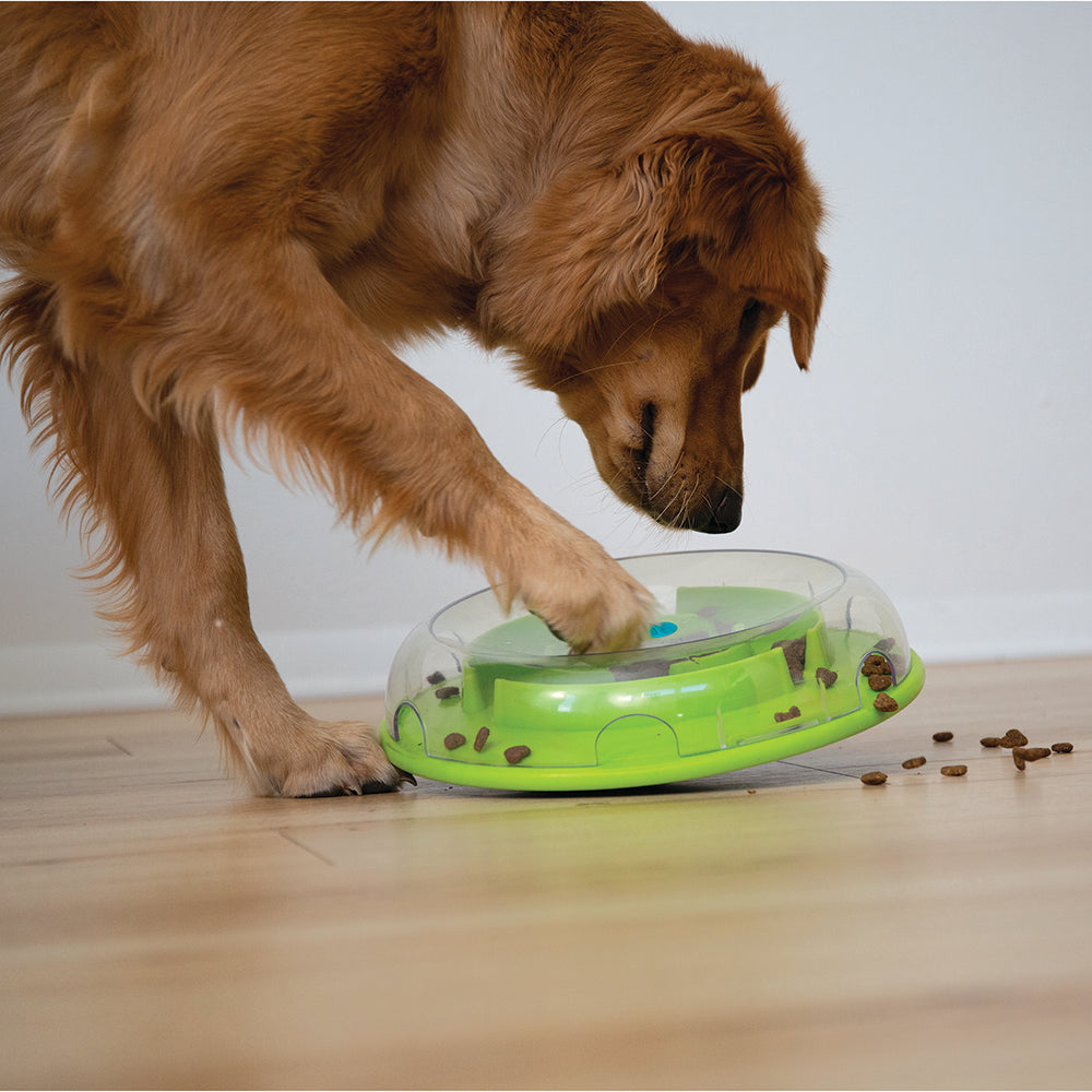 Outward Hound – Nina Ottosson – Dog Wobble Bowl (Level 1) - image 5