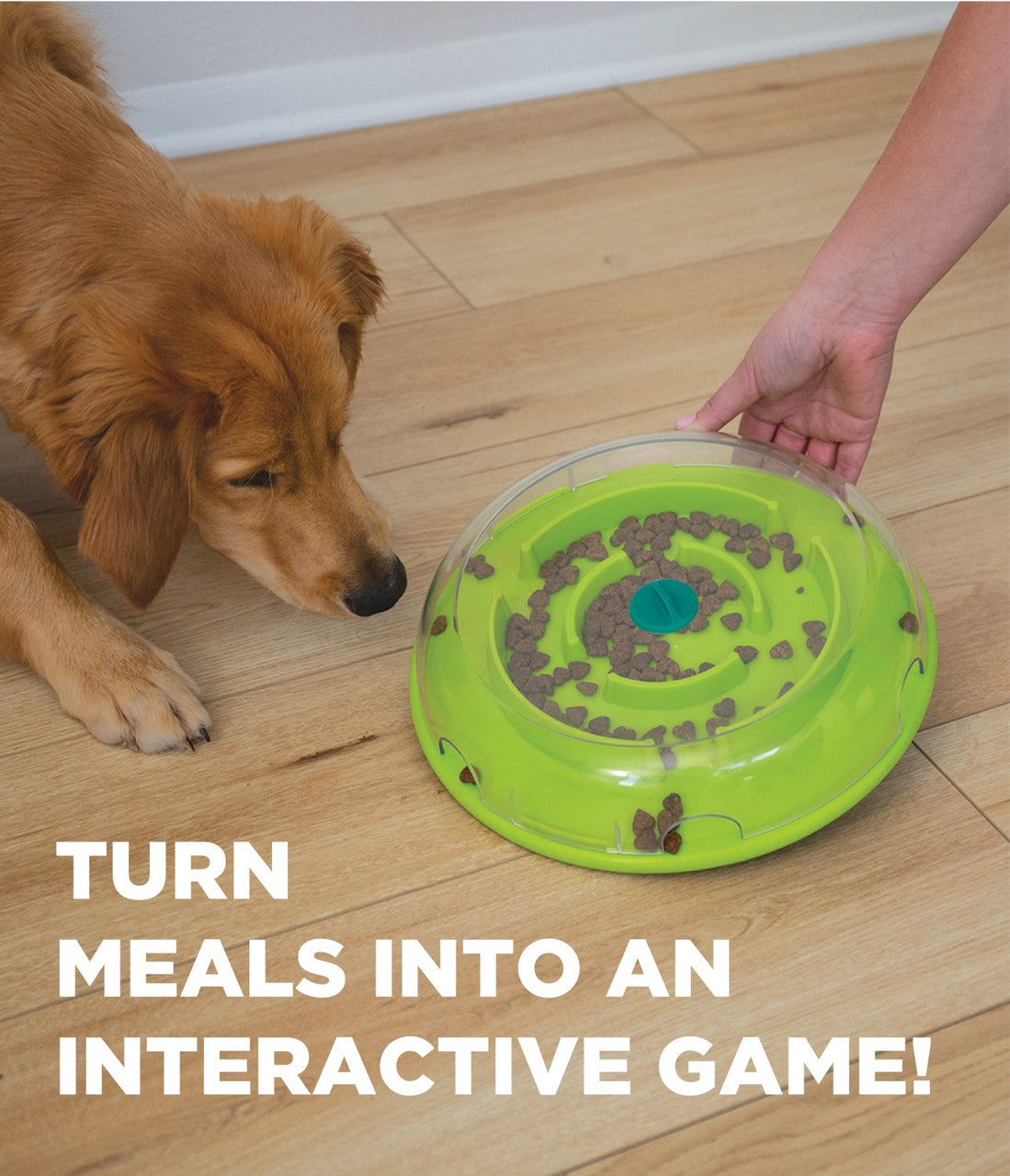 Outward Hound – Nina Ottosson – Dog Wobble Bowl (Level 1) - image 6