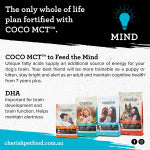 Cherish – Amazing Adult