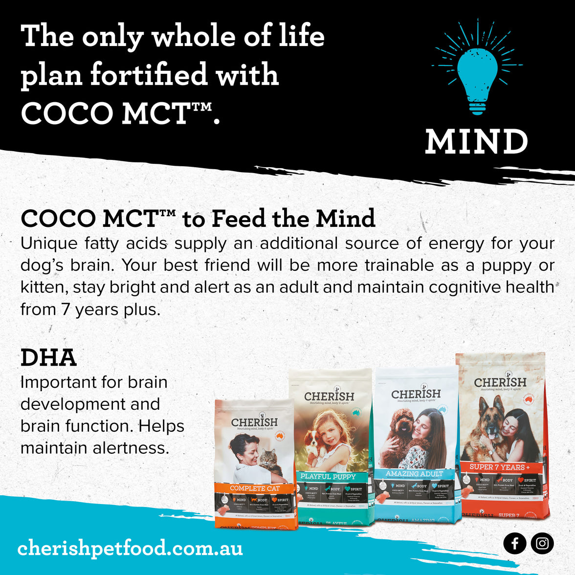 Cherish – Playful Puppy