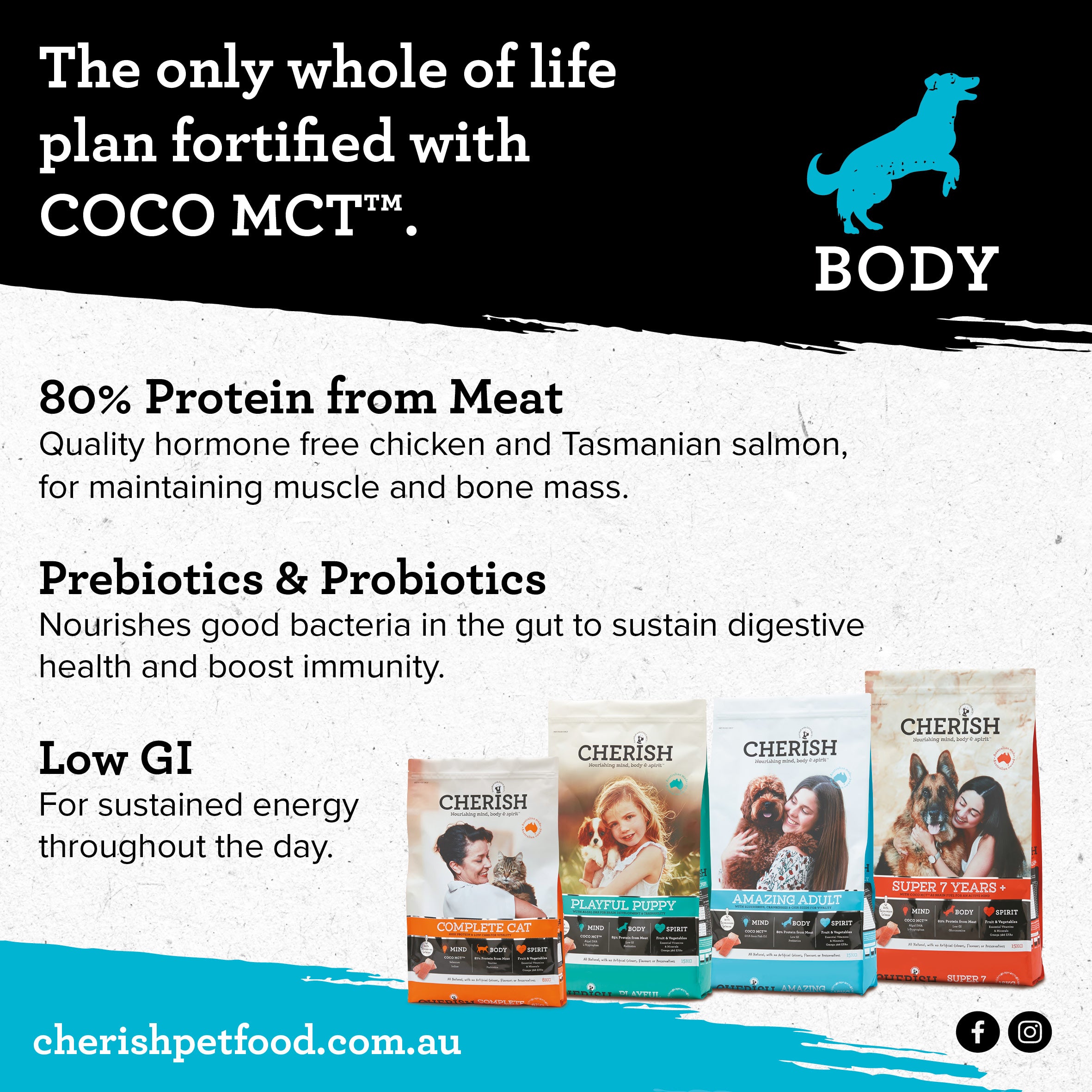 Cherish – Amazing Adult