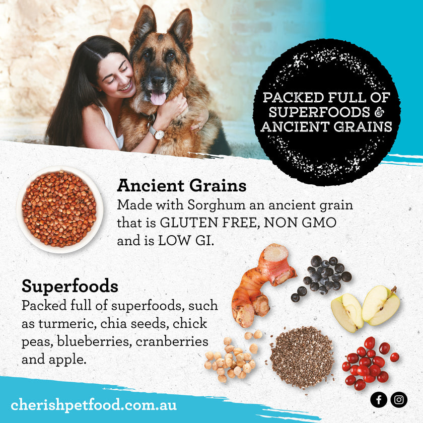 Cherish – Playful Puppy