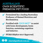 Cherish – Amazing Adult