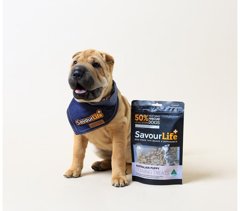 SavourLife – Training Treats