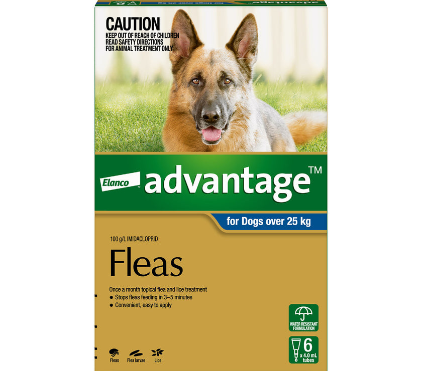 Advantage Flea Treatment for Dogs