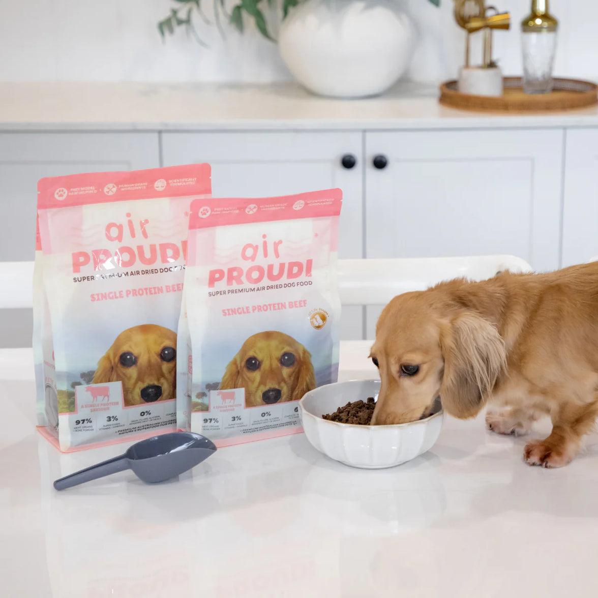 Proudi - Air Dried Dog Food Single Protein Beef Super Premium Complete Meal