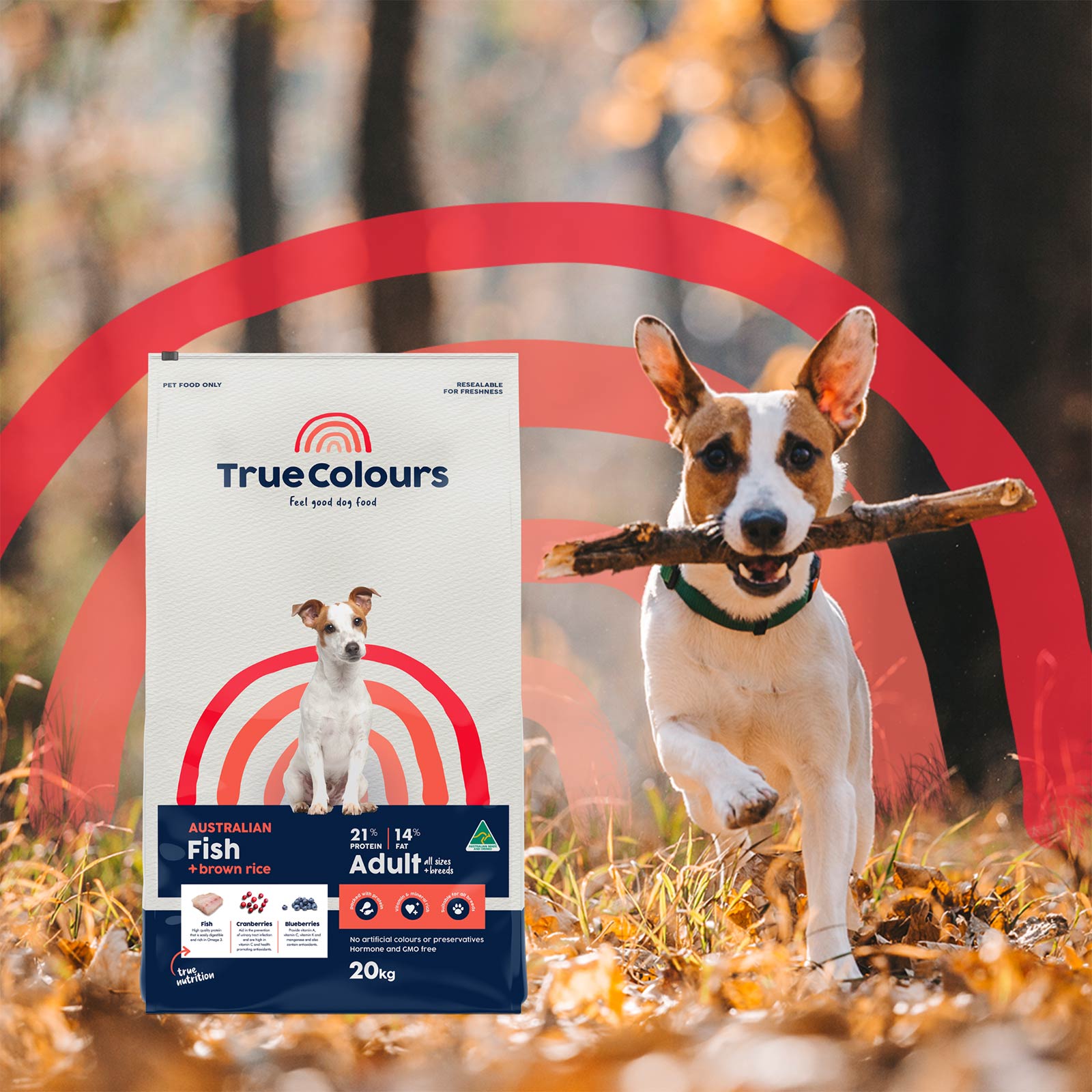 Adult Dog – Australian Fish + Brown Rice