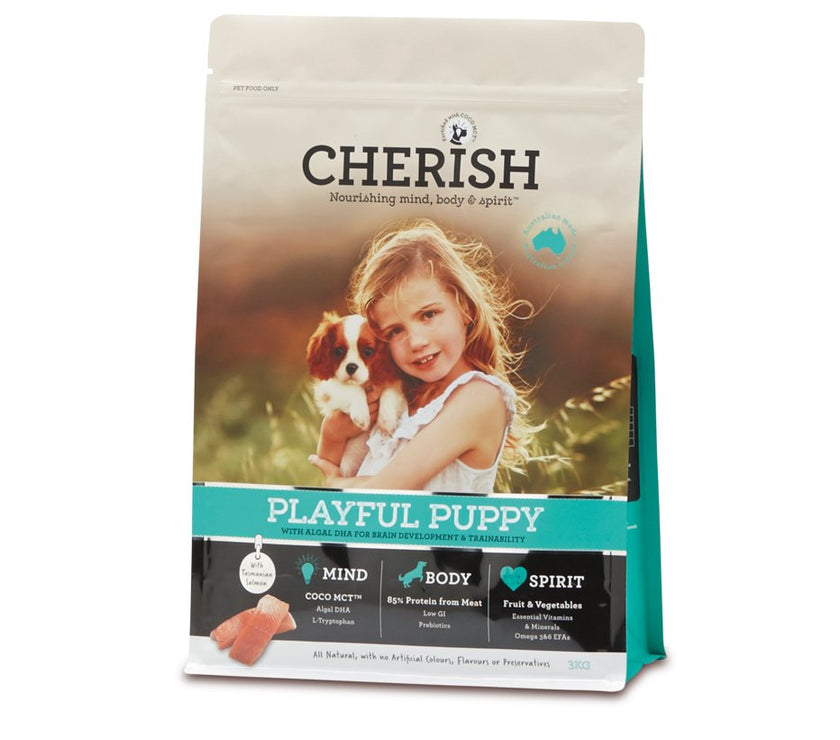 Cherish – Playful Puppy