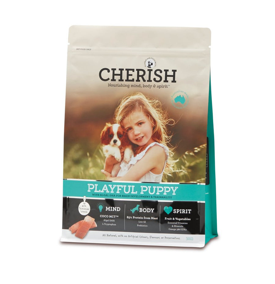 Cherish – Playful Puppy