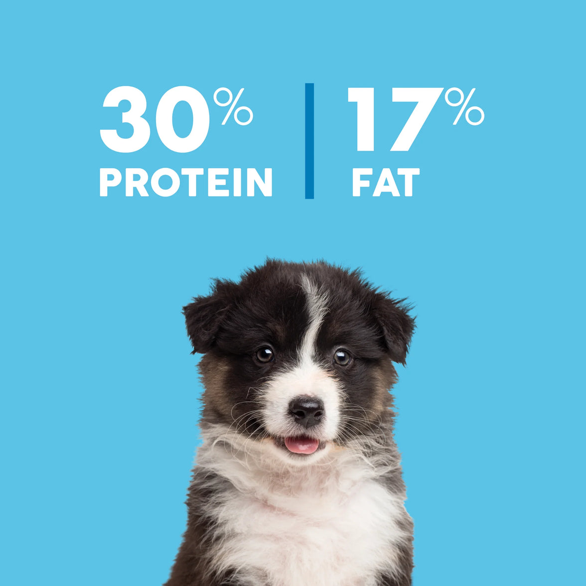 Puppy – Australian Chicken + Brown Rice