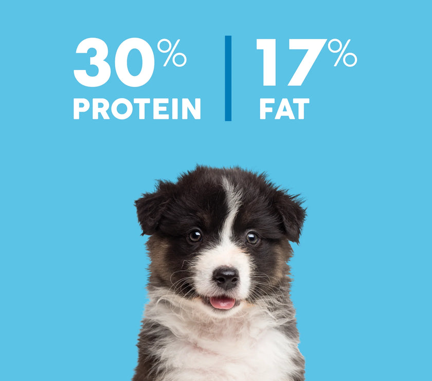 Puppy – Australian Chicken + Brown Rice