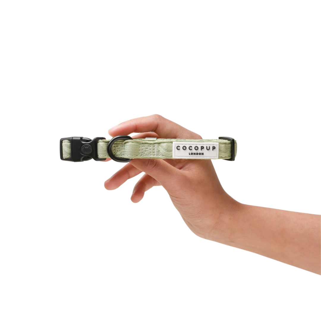 Cocopup Adjustable Dog Collar – Stylish, Comfortable, and Perfect for Everyday Walks - image 7