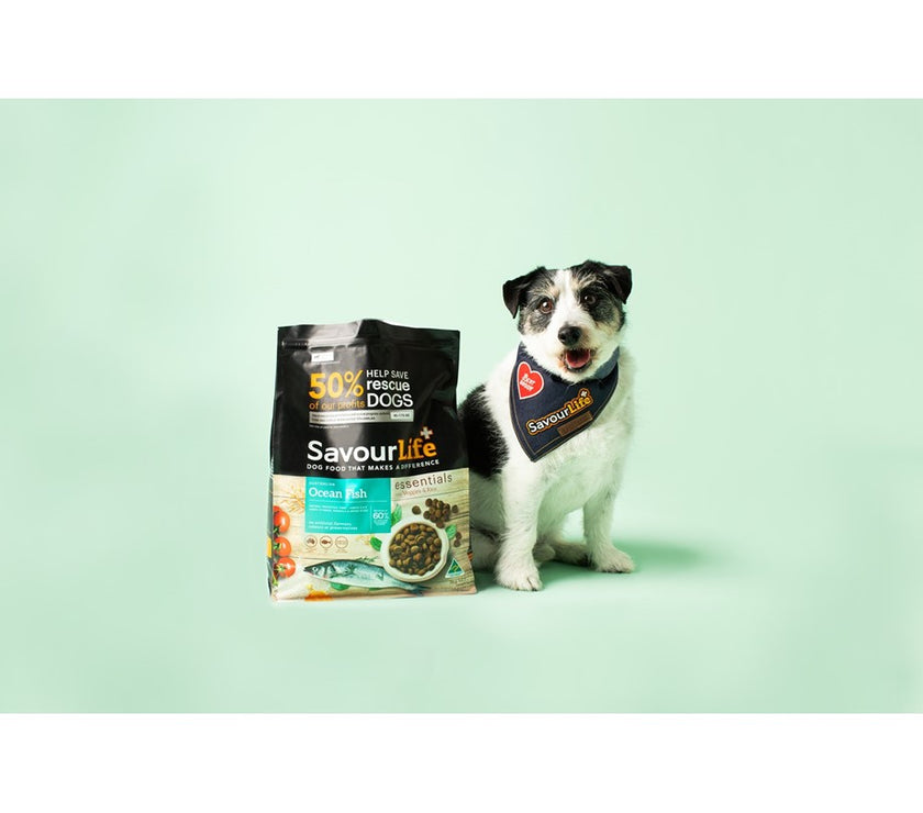 SavourLife – Adult Dog – Essentials – Australian Ocean Fish