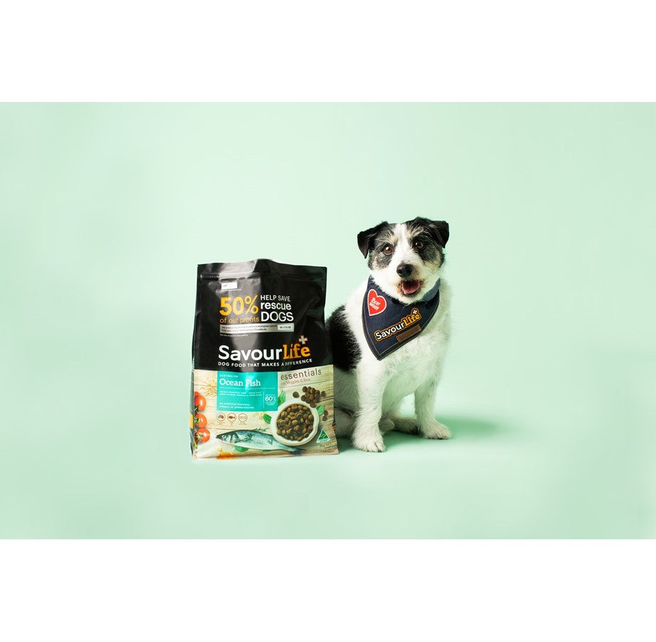 SavourLife – Adult Dog – Essentials – Australian Ocean Fish - image 4