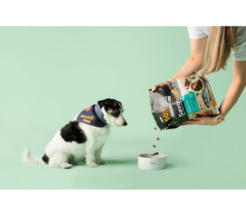 SavourLife – Adult Dog – Essentials – Australian Ocean Fish